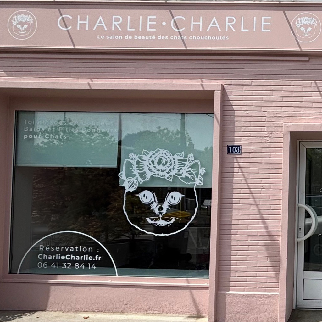 CHARLIE CHARLIE