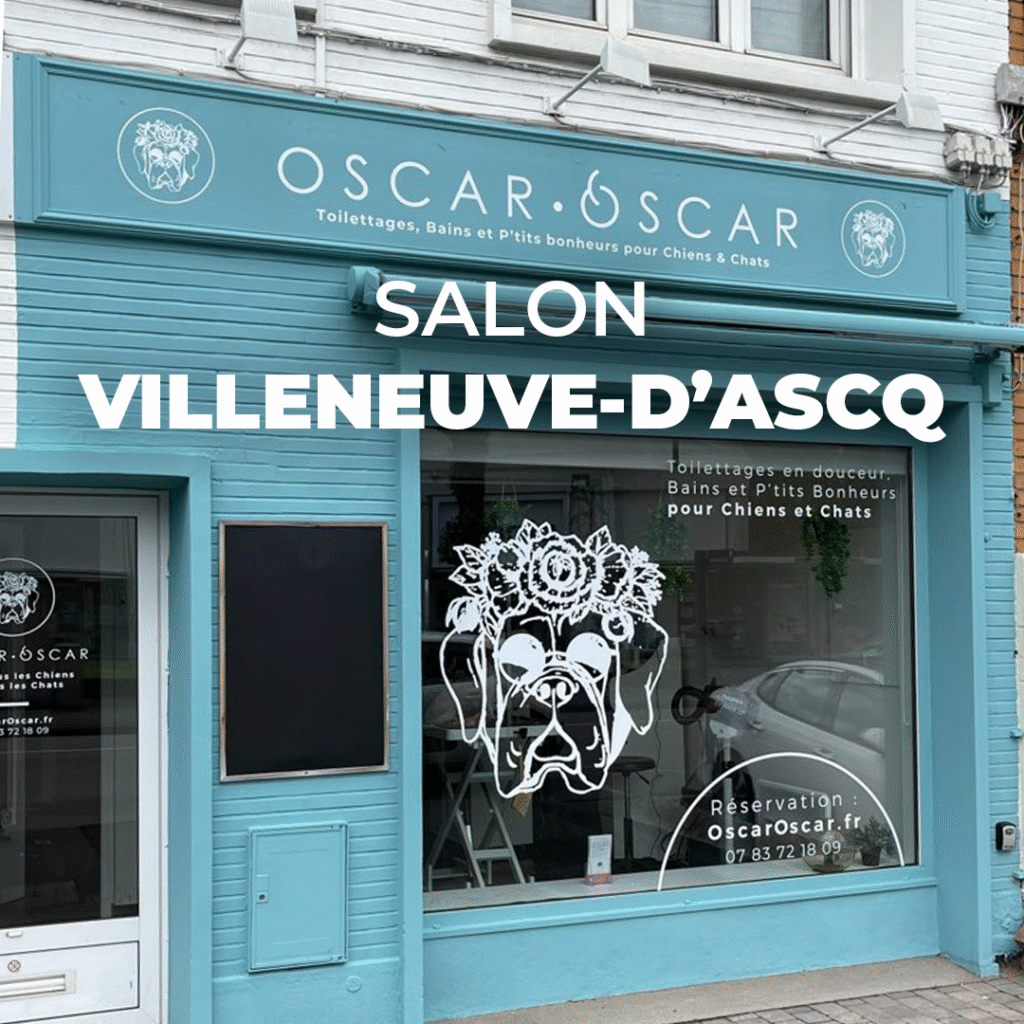OSCAR OSCAR